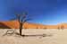 Namibia zdjęcie 8